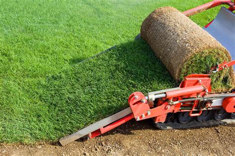 sod removal cost estimator